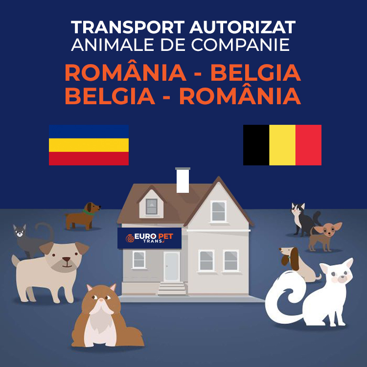 transport-autorizat-animale-de-companie-romania-belgia