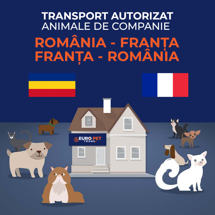 transport-autorizat-animale-de-companie-romania-franta