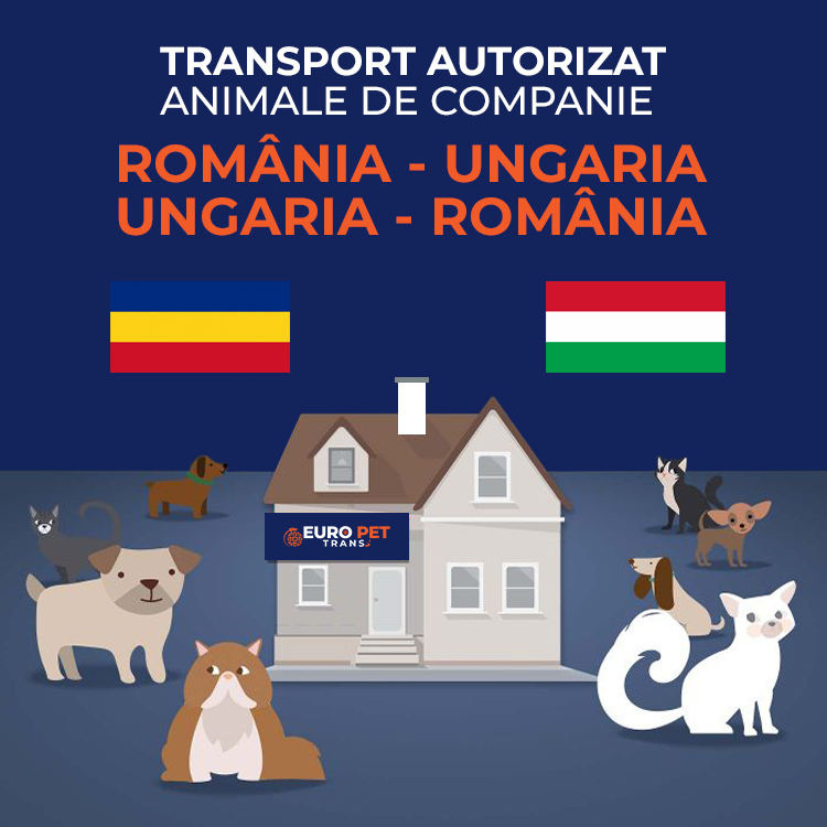 Transport Animale In Ungaria Transport Animale Autorizat International