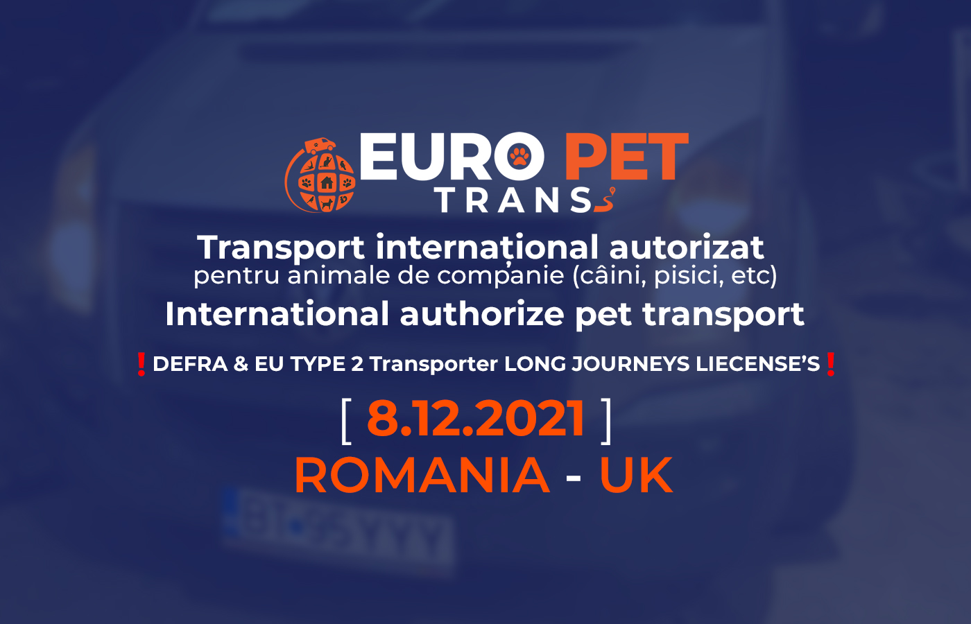 transport-caini-si-pisici-8-12-2021-din-romania-in-uk-si-din-uk-in-romania